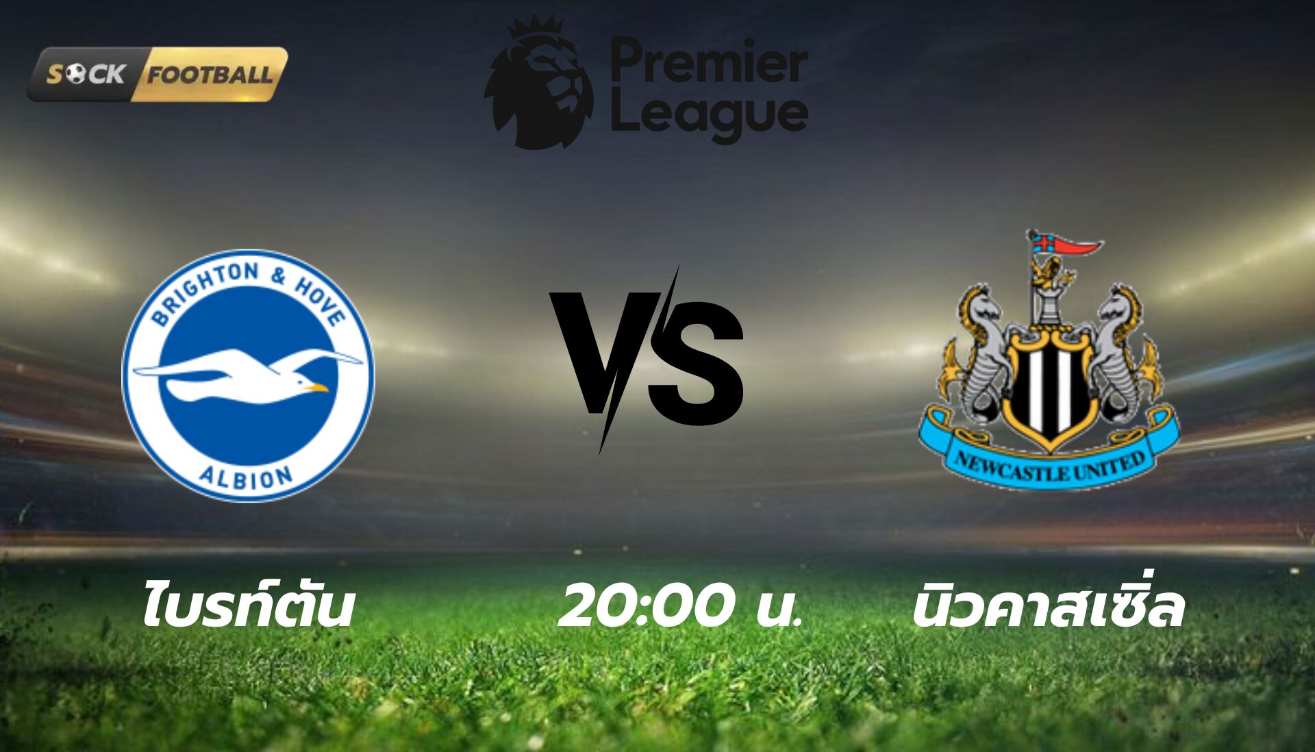 ไบรท์ตัน vs นิวคาสเซิ่ล